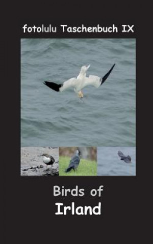 Carte Birds of Irland Fotolulu