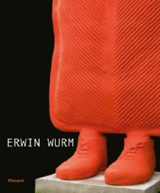 Książka Erwin Wurm in Duisburg Söke Dinkla