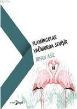 Βιβλίο Flamingolar Yagmurda Sevisir Irfan Asil