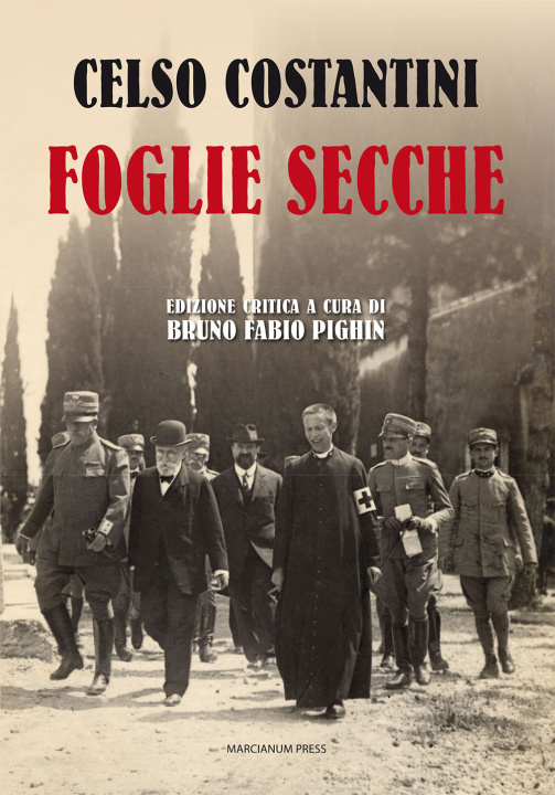 Book Foglie secche Celso Costantini