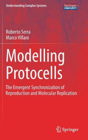 Книга Modelling Protocells Roberto Serra