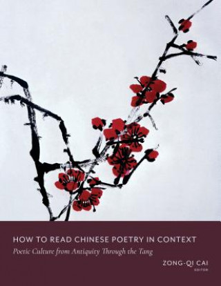 Kniha How to Read Chinese Poetry in Context Zong-qi Cai