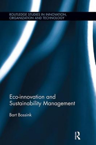 Könyv Eco-Innovation and Sustainability Management BOSSINK
