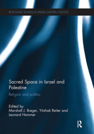 Книга Sacred Space in Israel and Palestine 