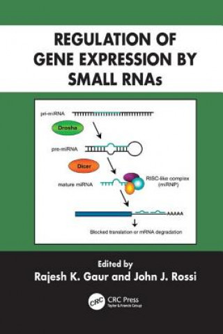 Kniha Regulation of Gene Expression by Small RNAs 