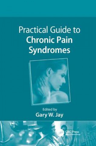 Книга Practical Guide to Chronic Pain Syndromes 