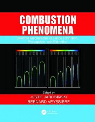 Könyv Combustion Phenomena 