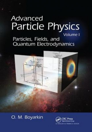 Kniha Advanced Particle Physics Volume I BOYARKIN