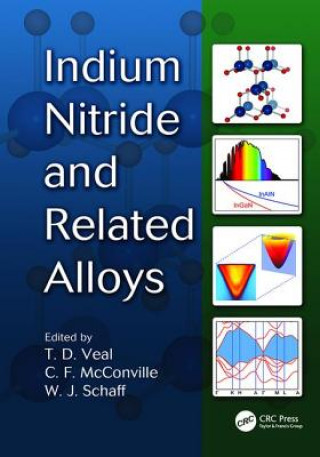 Kniha Indium Nitride and Related Alloys 