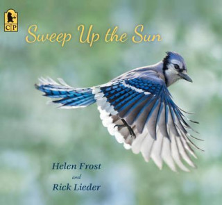 Książka Sweep Up the Sun Helen Frost