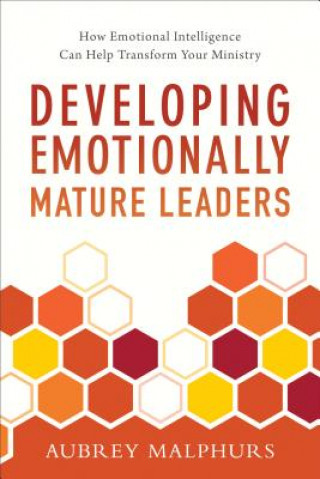 Buch Developing Emotionally Mature Leaders Aubrey Malphurs