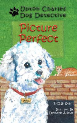 Carte Picture Perfect D. G. Stern