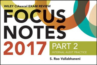 Książka Wiley CIAexcel Exam Review Focus Notes 2017, Part 2 S. Rao Vallabhaneni