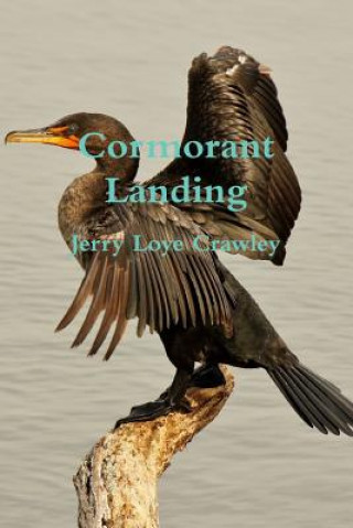 Книга Cormorant Landing Jerry Loye Crawley