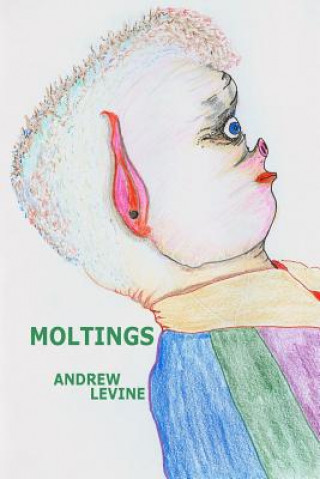 Książka Moltings Andrew Levine