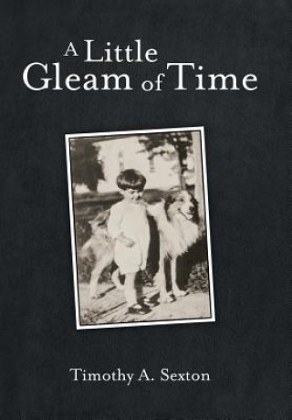 Книга Little Gleam of Time Timothy A. Sexton