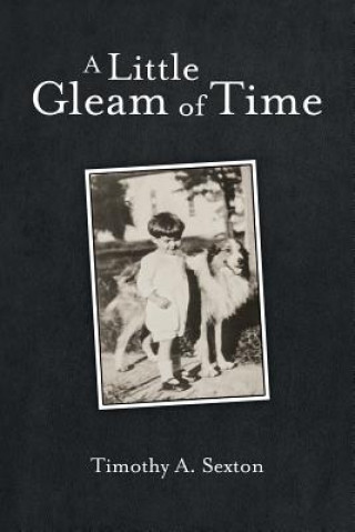 Book Little Gleam of Time Timothy A. Sexton