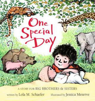 Book One Special Day Lola M. Schaefer