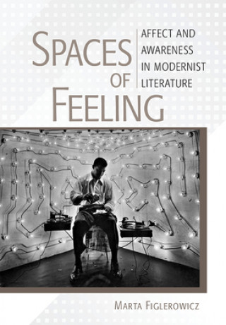 Book Spaces of Feeling Marta Figlerowicz