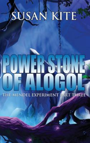 Libro Power Stone of Alogol Susan Kite