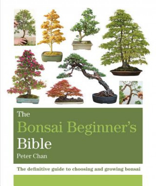 Kniha Bonsai Beginner's Bible Peter Chan