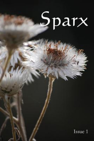 Buch Sparx Blaise Van Hecke