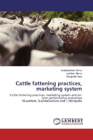 Könyv Cattle fattening practices, marketing system Endalkachew Girma