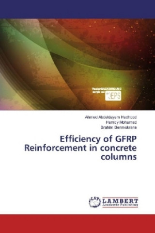 Könyv Efficiency of GFRP Reinforcement in concrete columns Ahmed Abdeldayem Hadhood