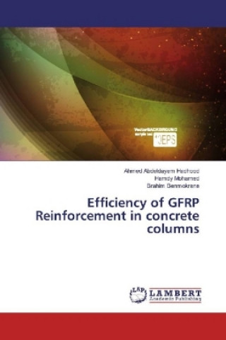 Kniha Efficiency of GFRP Reinforcement in concrete columns Ahmed Abdeldayem Hadhood