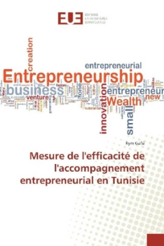 Kniha Mesure de l'efficacité de l'accompagnement entrepreneurial en Tunisie Rym Gafsi