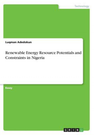 Könyv Renewable Energy Resource Potentials and Constraints in Nigeria Luqman Adedokun