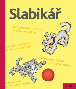 Kniha Slabikář Jiří Žáček