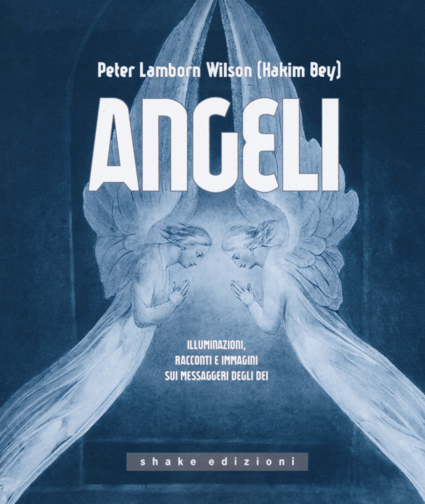 Knjiga Angeli. Illuminazioni, racconti e immagini sui messaggeri Peter L. Wilson