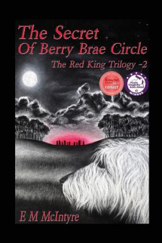 Kniha Secret of Berry Brae Circle E M McIntyre