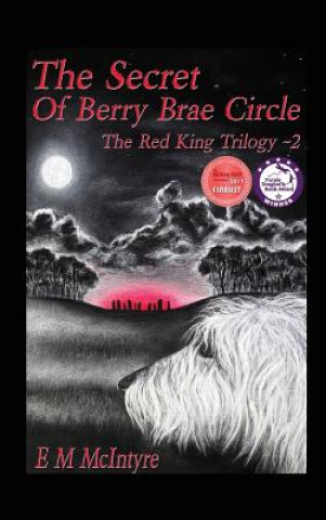 Kniha Secret of Berry Brae Circle E M McIntyre