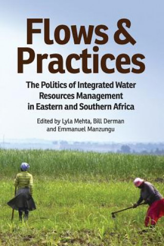 Kniha Flows and Practices Emmanuel Manzungu