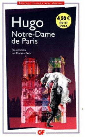 Kniha Notre Dame de Paris Victor Hugo