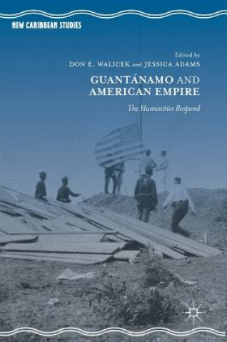 Buch Guantanamo and American Empire Don E. Walicek