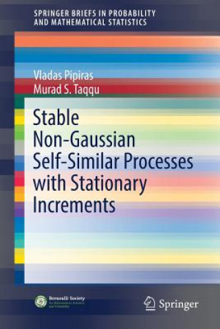 Könyv Stable Non-Gaussian Self-Similar Processes with Stationary Increments Vladas Pipiras