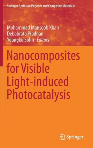 Könyv Nanocomposites for Visible Light-induced Photocatalysis Mohammad Mansoob Khan