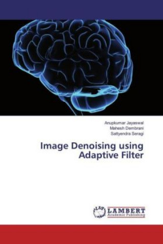 Книга Image Denoising using Adaptive Filter Anupkumar Jayaswal