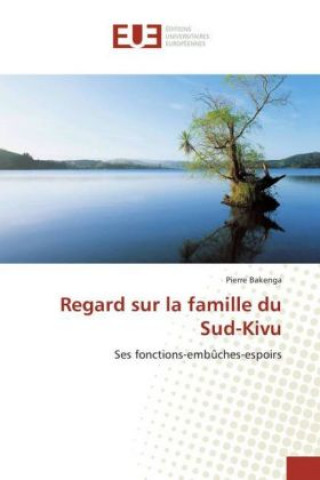 Kniha Regard sur la famille du Sud-Kivu Pierre Bakenga