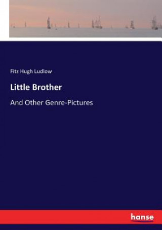 Knjiga Little Brother Fitz Hugh Ludlow