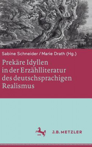 Book Prekare Idyllen in Der Erzahlliteratur Des Deutschsprachigen Realismus Sabine Schneider