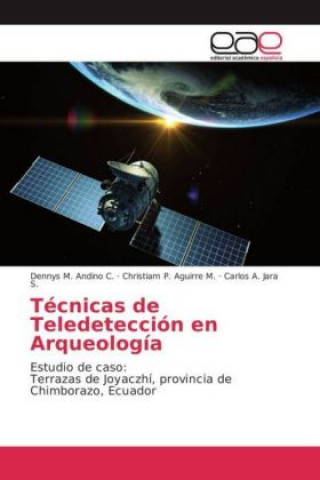Kniha Técnicas de Teledetección en Arqueología dennys M. Andino C.