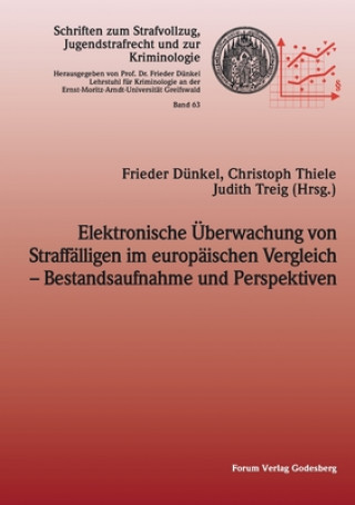 Könyv Elektronische UEberwachung von Straffalligen im europaischen Vergleich - Bestandsaufnahme und Perspektiven Frieder Dünkel