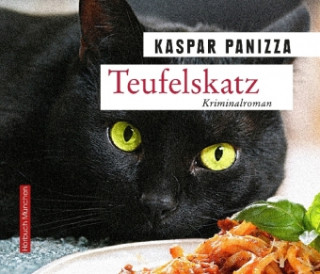 Audio Teufelskatz, 6 Audio-CDs Kaspar Panizza