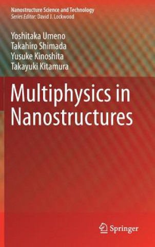 Knjiga Multiphysics in Nanostructures Takayuki Kitamura