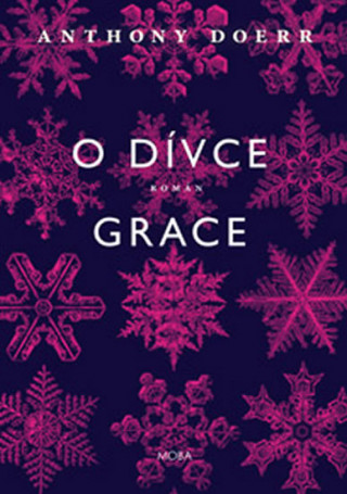 Book O dívce Grace Anthony Doerr