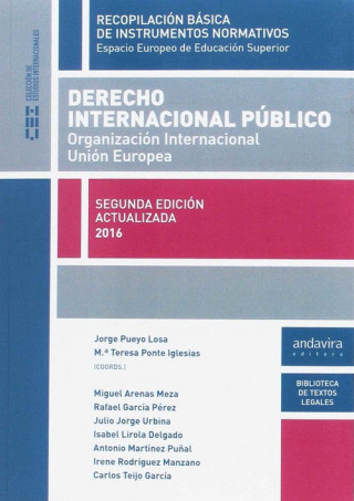 Kniha DERECHO INTERNACIONAL PUBLICO 
